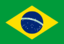 Brazilian flag icon